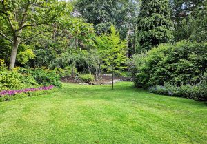 Optimiser l'expérience du jardin à Craincourt